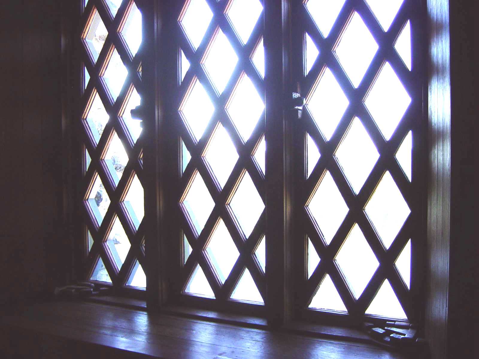 Window in the library