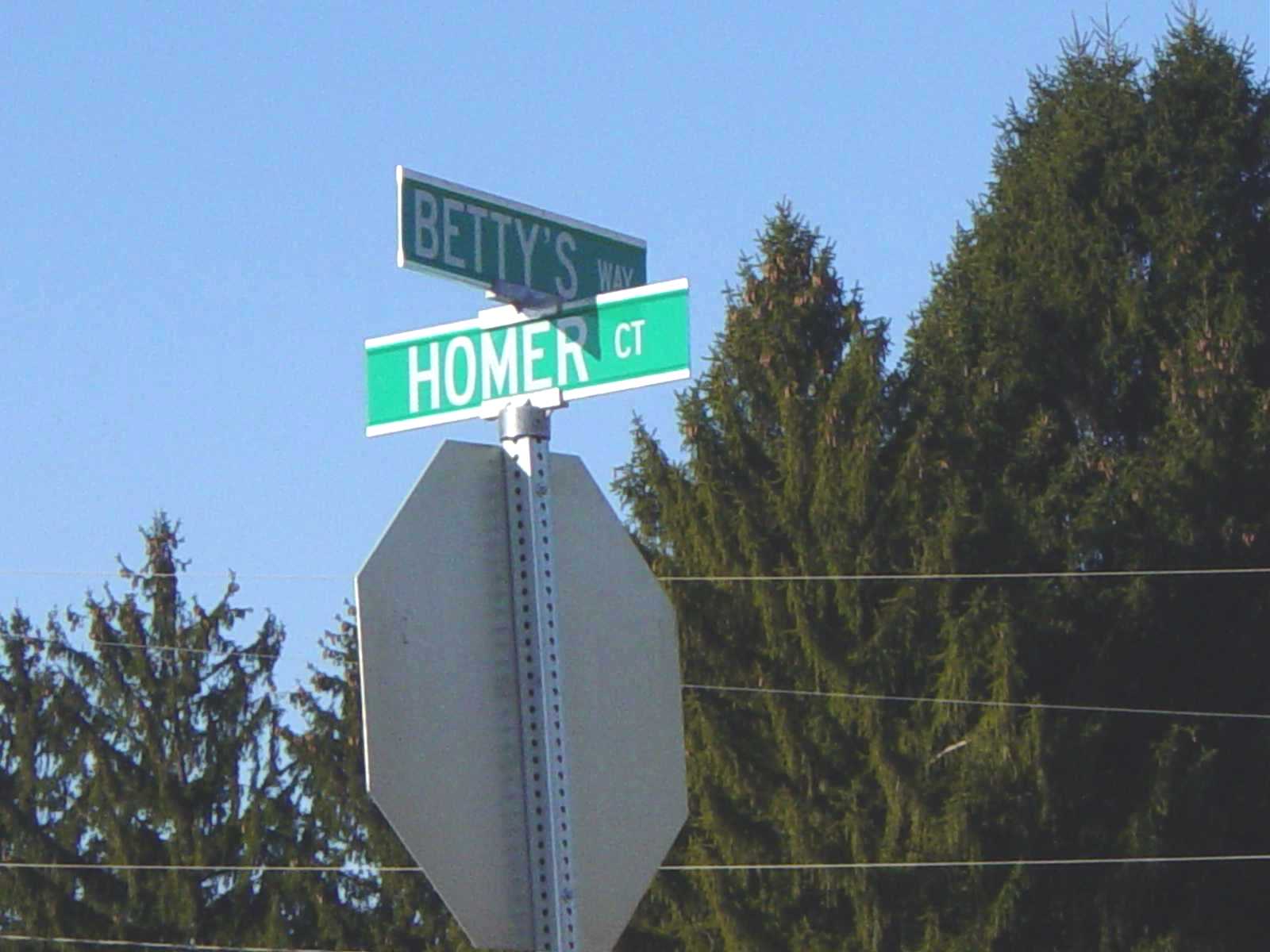 Homer Court and Betty's Way